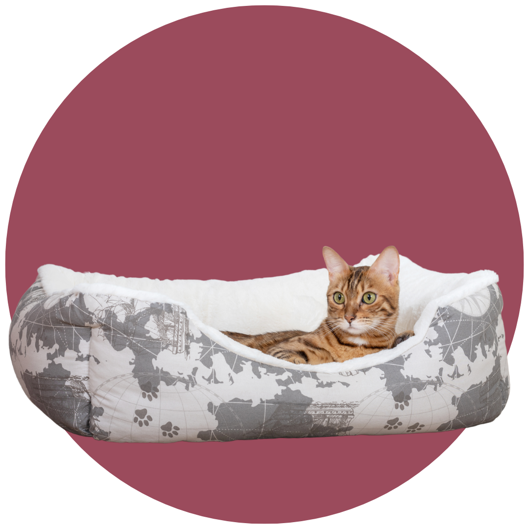 camas-para-gatos